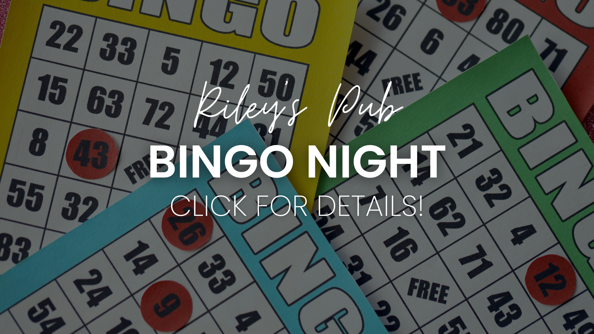Bingo Night
